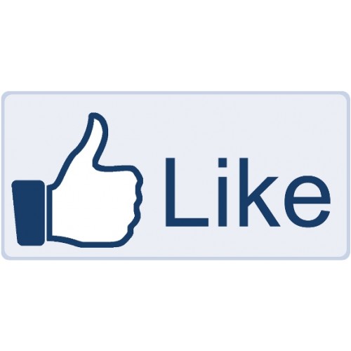 1000 Facebook Quality Page Likes/Fans(100% REAL PEOPLES LIKES)