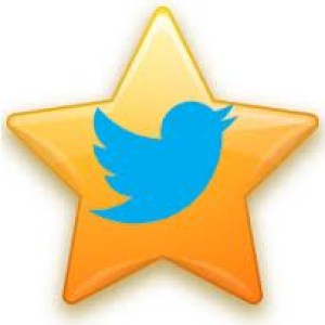 5000 Twitter Quality Views (can split)