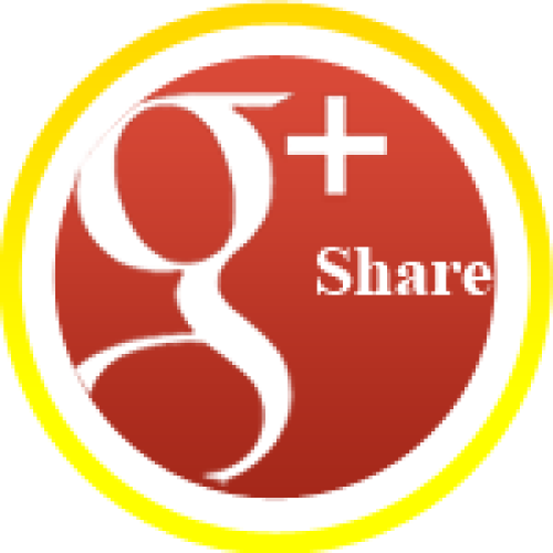 3000 Google Plus Quality Shares